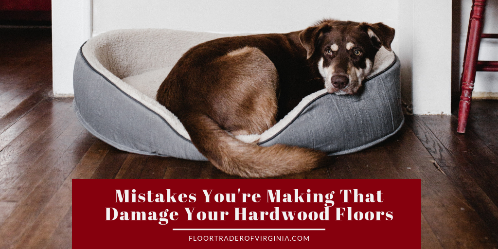 hardwood flooring mistakes graphic overlaid on photo of dog curled up in dog bed on hardwood floors